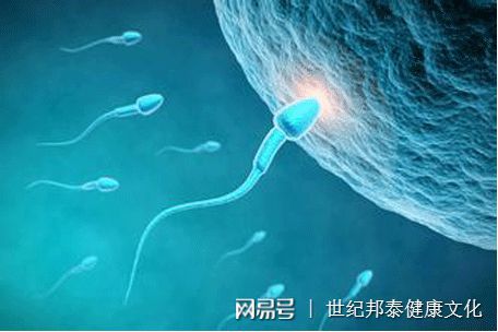 做试管婴儿那个医院好