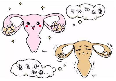 助孕