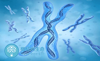 助孕中介