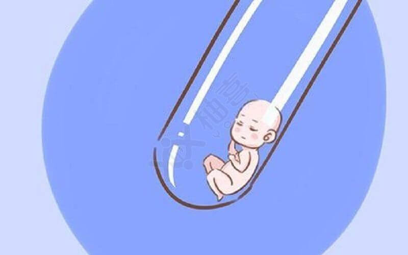 囊胚移植