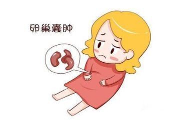 囊胚