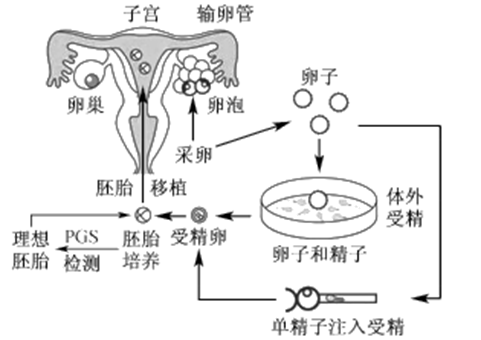 移殖